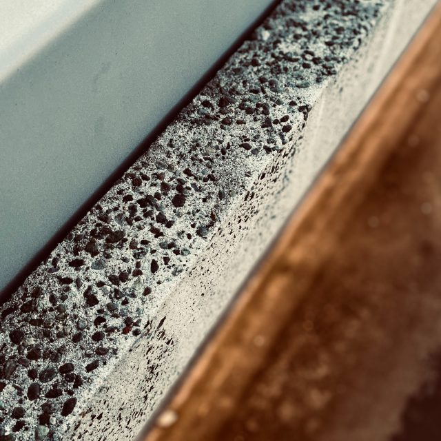 health risks of black mould